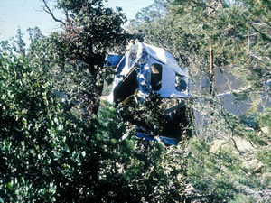 crash debris
